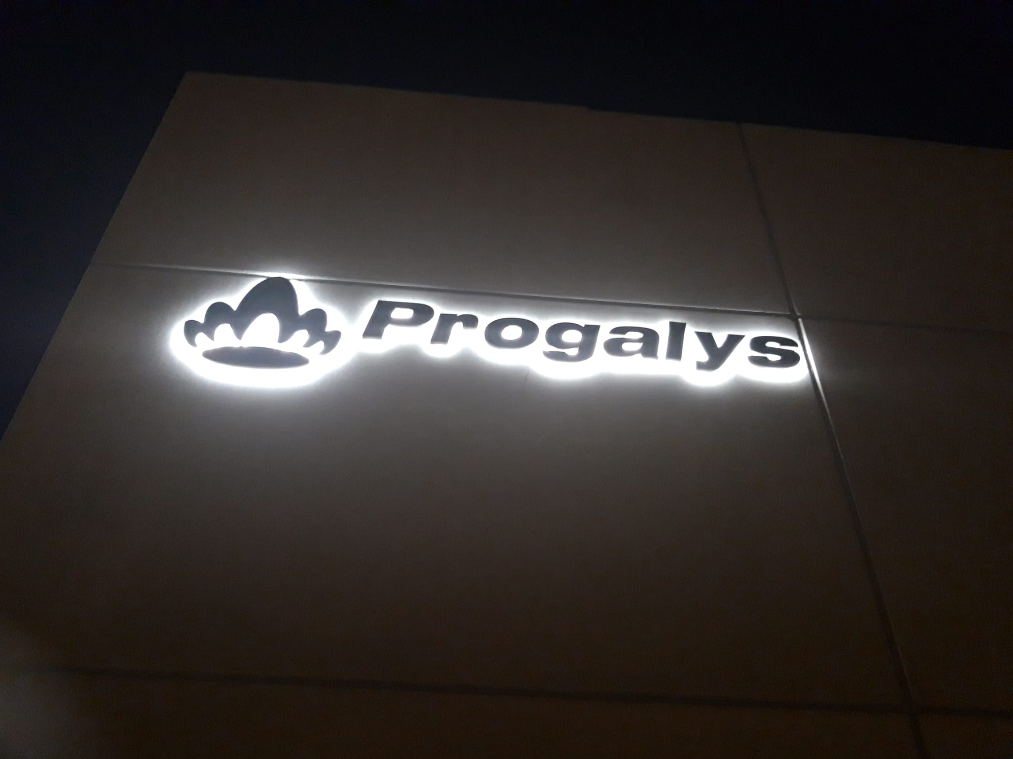 Gevelbranding Progalys